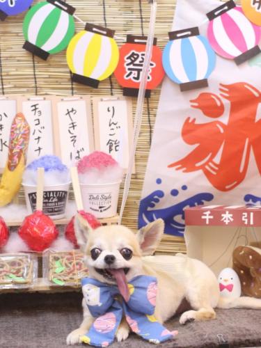 20240728ｍomoちゃん